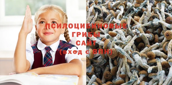 ешки Алексин
