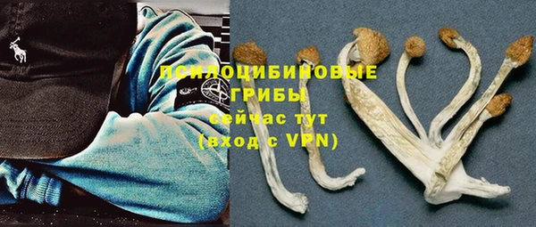 ешки Алексин