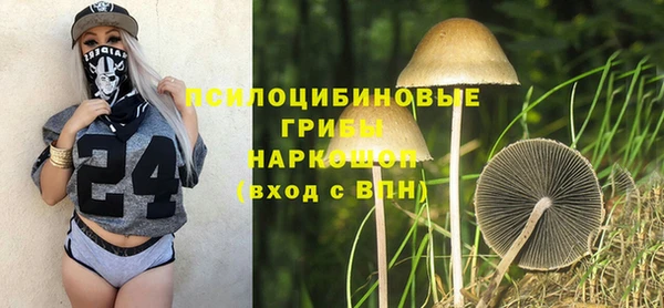 ешки Алексин