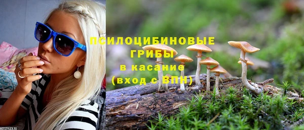 ешки Алексин