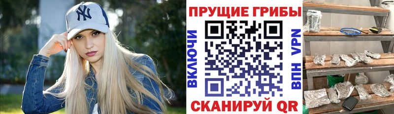 Псилоцибиновые грибы мухоморы  Салават 